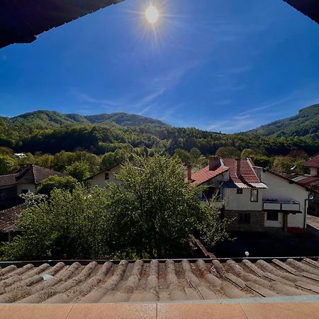 Luylyana Guesthouse Ribarica Luaran gambar