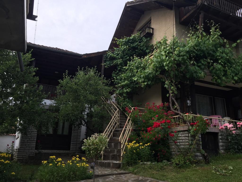Luylyana Guesthouse Ribarica Luaran gambar