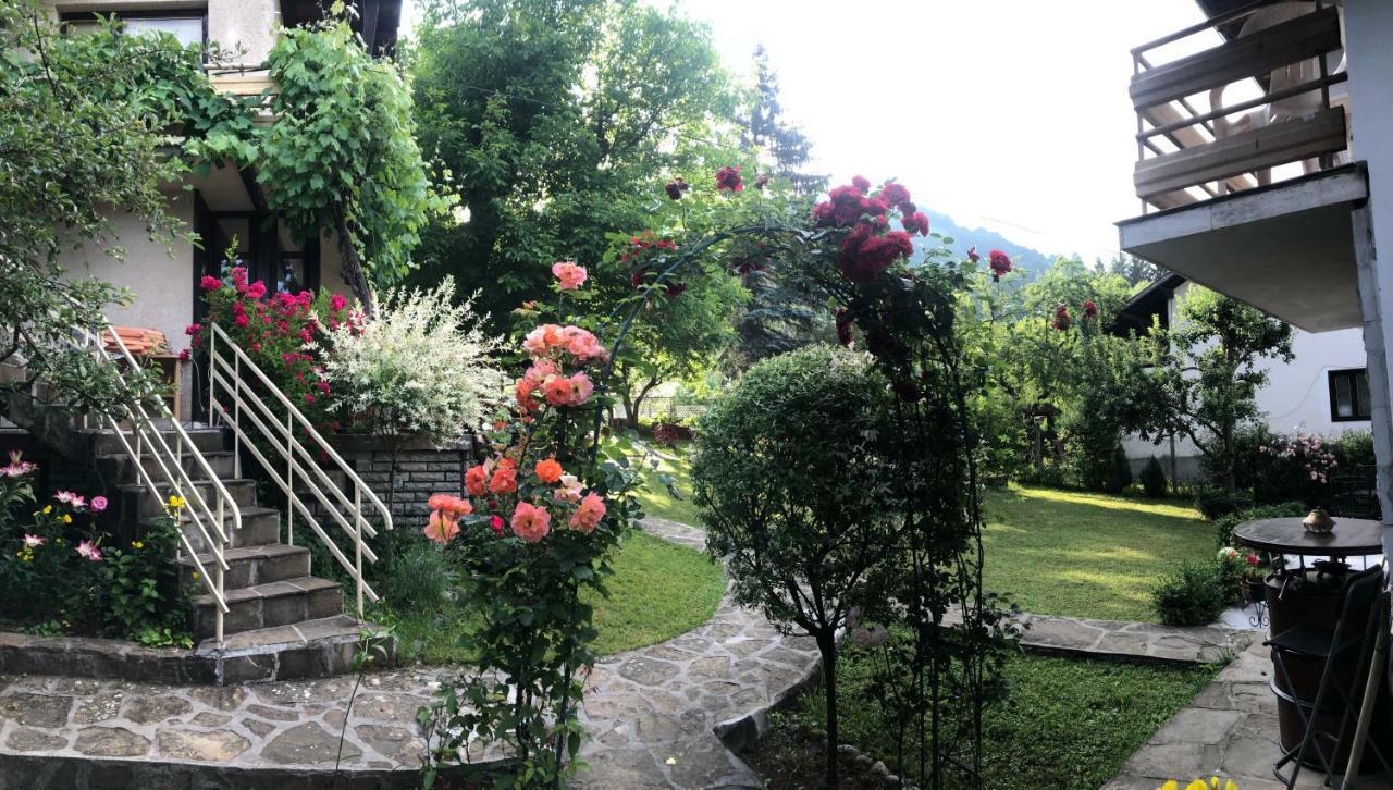 Luylyana Guesthouse Ribarica Luaran gambar