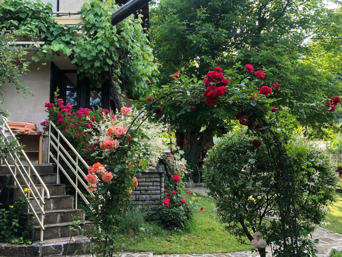Luylyana Guesthouse Ribarica Luaran gambar